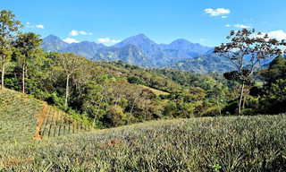 Honduras - Von Regenwald und Strand