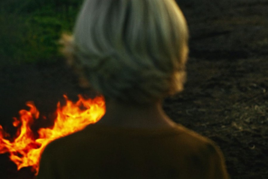 Het Beest van Harkstede