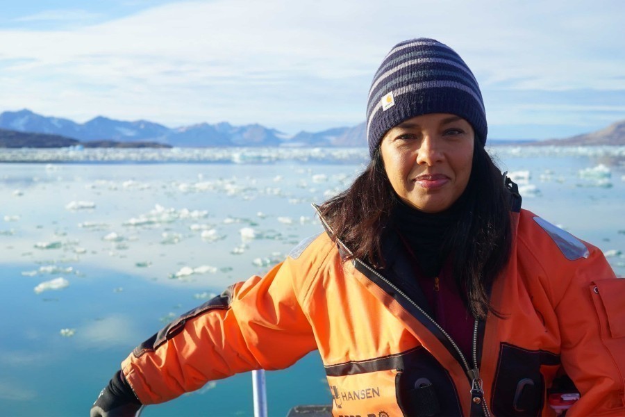 Het noordpoolgebied van bovenaf