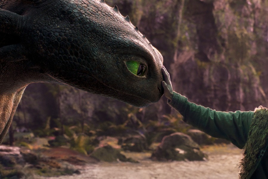 How to Train Your Dragon