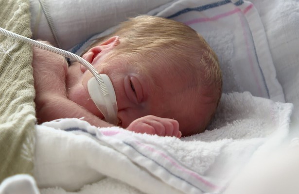 Handen aan de Couveuse