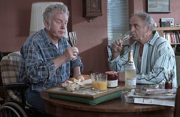 Het geheime dagboek van Hendrik Groen