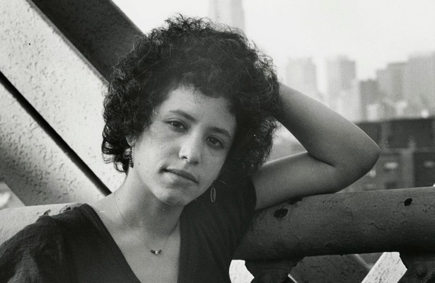 Janis Ian in Het Uur van de Wolf