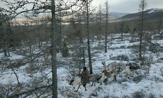 Mongolei, immer auf Achse