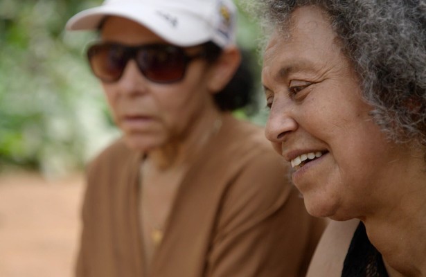 Metissen van België