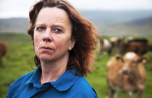 Arndís Hrönn Egilsdóttir in Mjólk