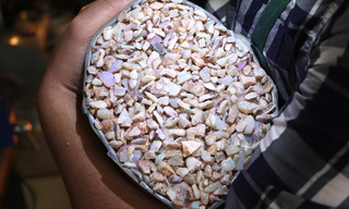 Outback opal hunters