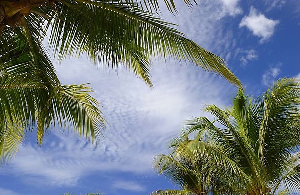 Komend jaar twee nieuwe seizoenen Love Island