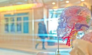 Secrets of the Brain