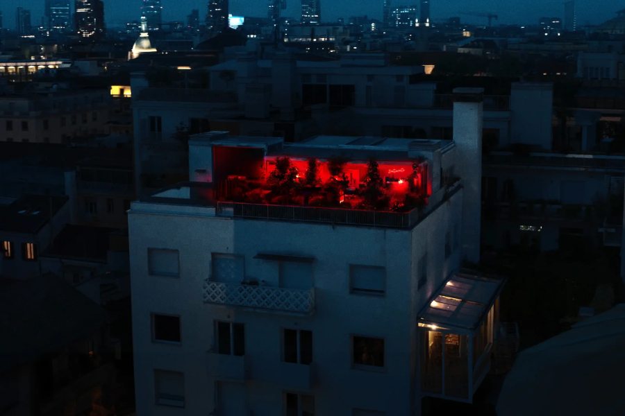 Start Up, Fall Down: From Billionaire to Convict