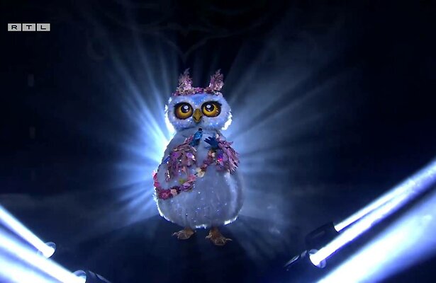 De Uil in The Masked Singer.