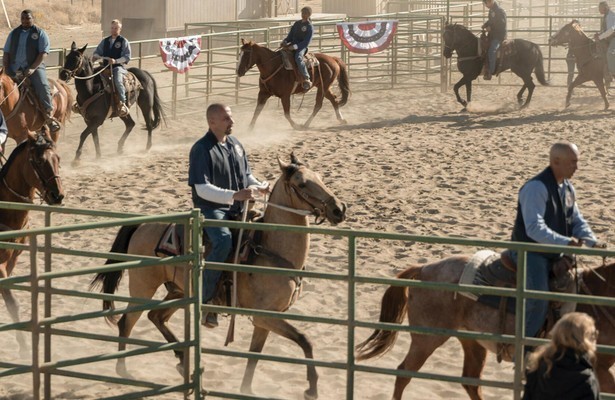 Matthias Schoenaerts in The Mustang
