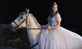 Zappbios: Assepoester