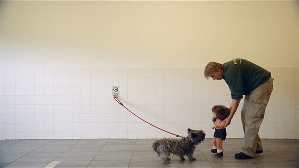 Onvoorwaardelijke liefde voor asieldieren