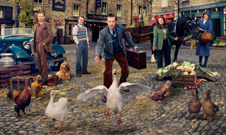 All creatures great and small