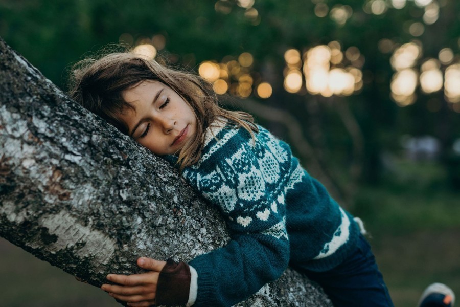 A New Kind of Wilderness