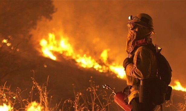 Verwoestende bosbranden