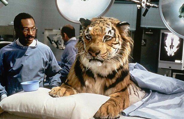 Eddie Murphy als Dr John Dolittle