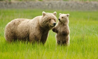 Earth's seasonal secrets