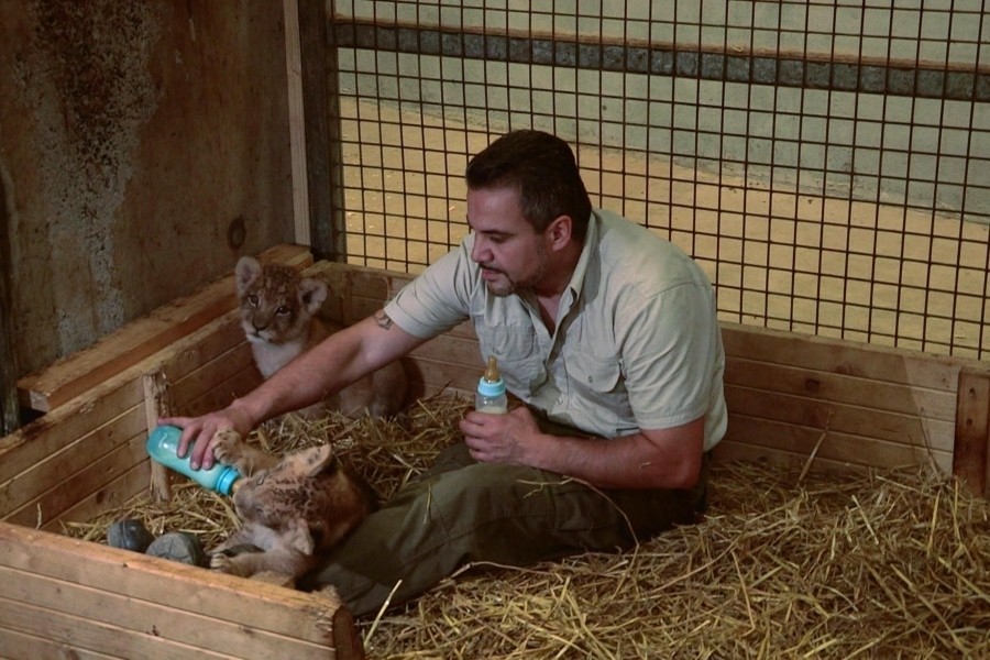 Expeditie Pairi Daiza