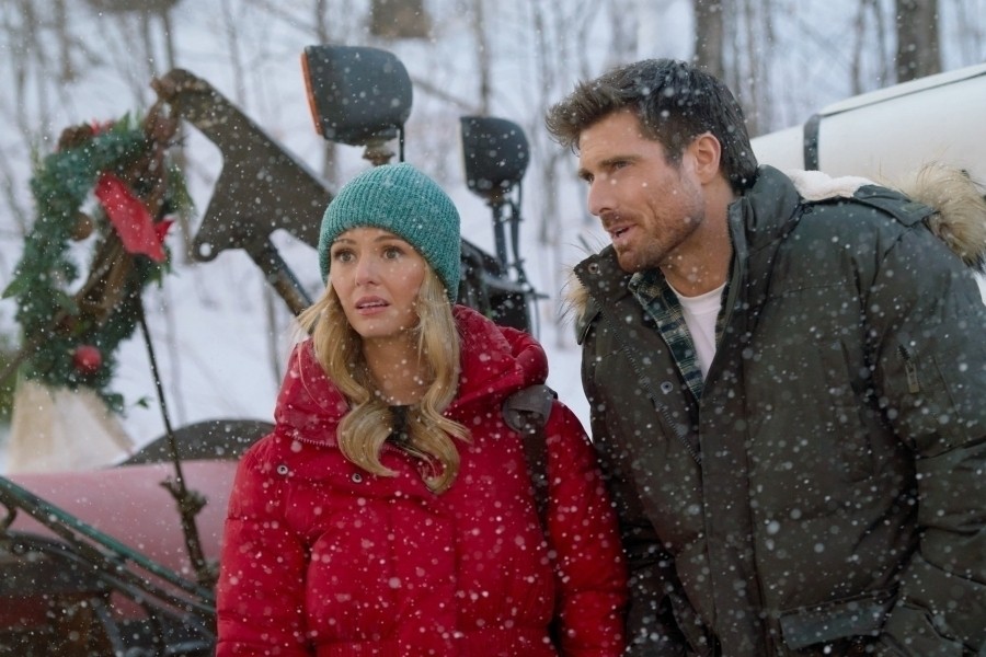 Falling Like Snowflakes