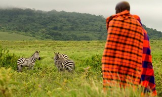 Grzimek und der Kampf um die Serengeti