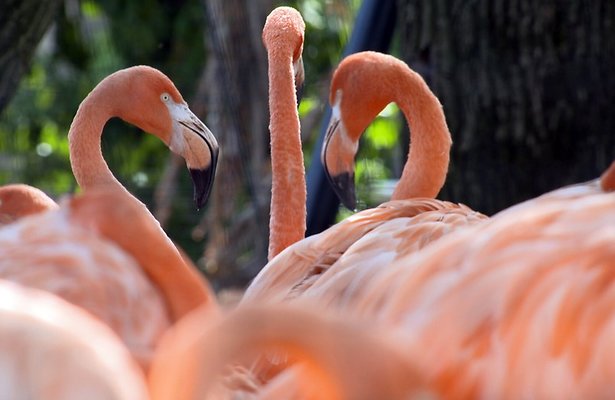 De TV van gisteren: NPO 1 domineert de hele avond