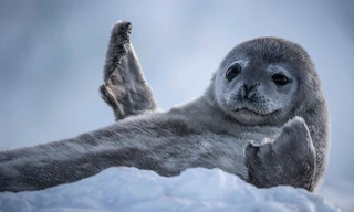 Natuur op 2: Seven worlds, one planet