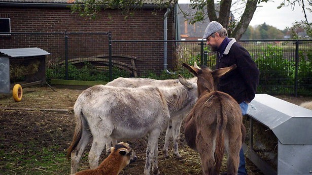 Emmen staat centraal in nieuwe reeks