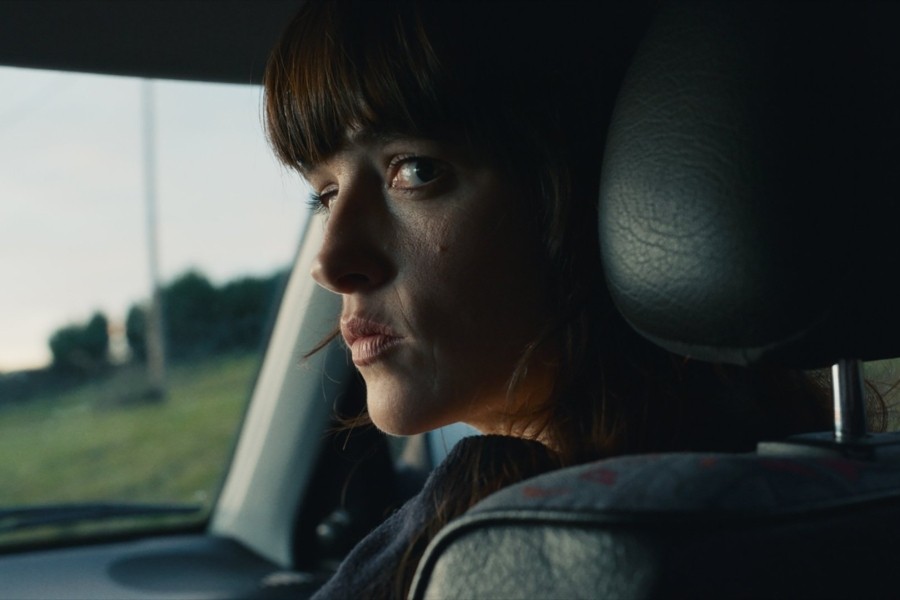 Un fantasma en la batalla