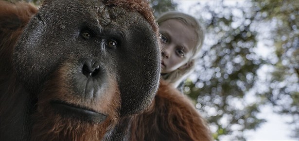 Woody Harrelson knokt met apen