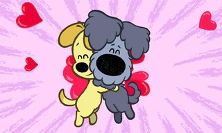 Woezel en Pip overal vriendjes