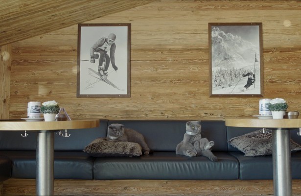 2Doc Kort: All Cats Are Grey in the Dark