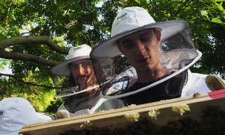 360° Reportage: Paris, Hauptstadt der Bienen