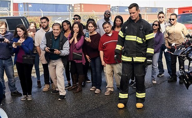 Tijgerhaai op de snelweg