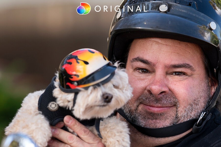 90 Day: The Single Life