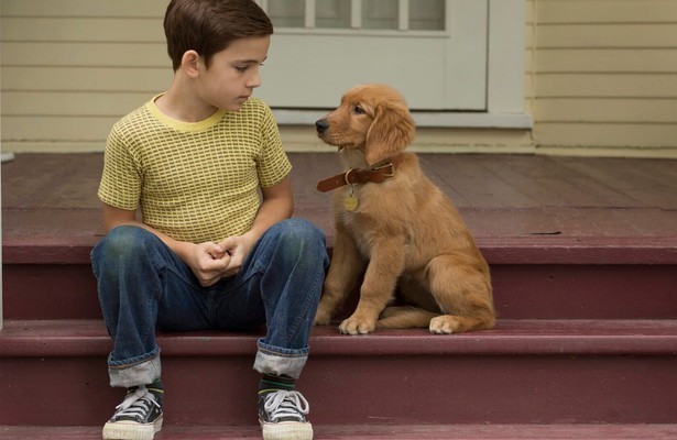 Bryce Gheisar in A Dog's Purpose