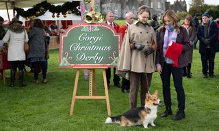 A Royal Corgi Christmas - Weihnachten wird königlich