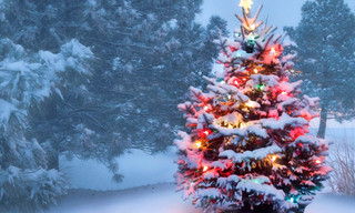 Alle Jahre wieder: Lichterglanz und Sternenstaub