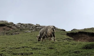 Allein im Meer - Leben auf den Färöern