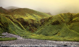 Antarktika - Die gefrorene Zeit