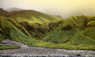 Antarktika - Die gefrorene Zeit