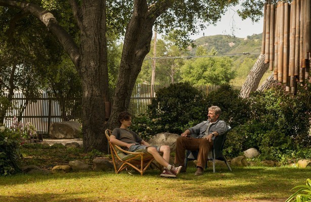 Timothée Chalamet in Beautiful Boy