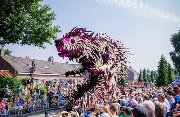 Bloemencorso Sint Jansklooster in 2015