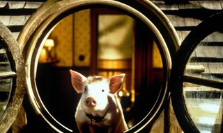Babe: Pig in the City