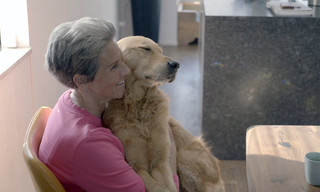 Bij ons op de Hondenacademie