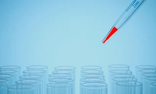 Bloodline Detectives