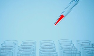 Bloodline Detectives