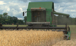 Brotzeit im Norden - Von Bäckern mit Laib und Seele