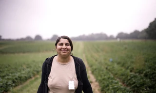 Bus der Hoffnung: Unterwegs mit rumänischen Wanderarbeitern
